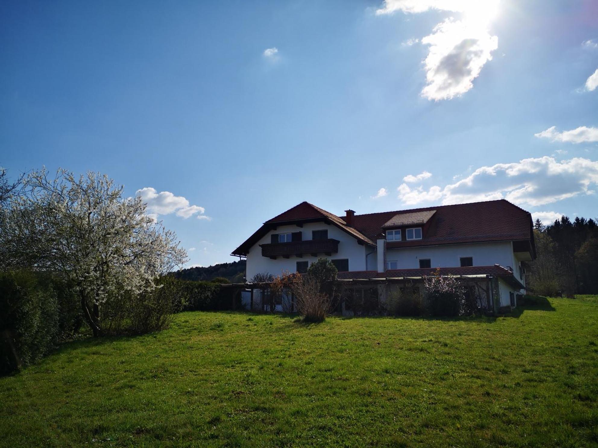 Aparthotel "Goldener Hahn Apartments" Бад-Вальтерсдорф Екстер'єр фото